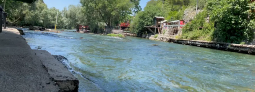 Swim with the flow