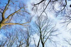 The interrupted flow: How writing shapes fieldwork and vice versa